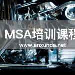 MSA培训